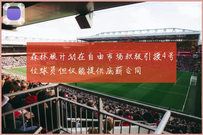 森林狼计划在自由市场积极引援4号位球员但仅能提供底薪合同