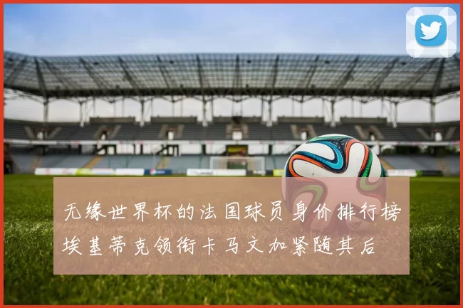 无缘世界杯的法国球员身价排行榜埃基蒂克领衔卡马文加紧随其后